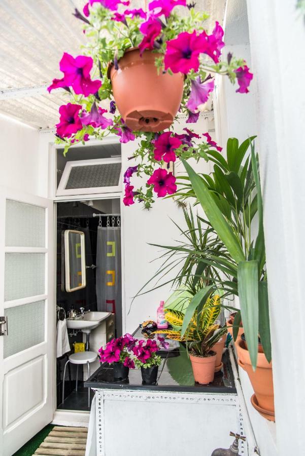 Cosy Flat In City Center Ponta Delgada  Bagian luar foto